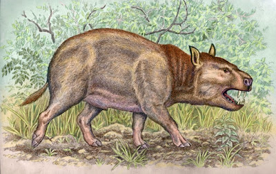 Achaenodon