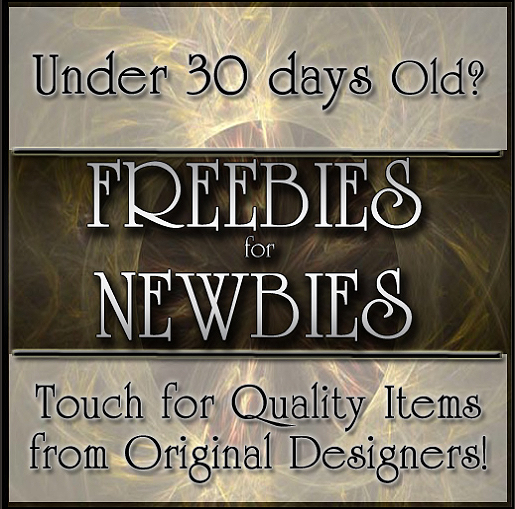 Newbie-pack-program-poster.png