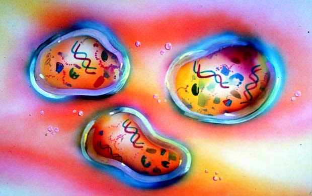 Asal Usul Kehidupan Menurut Teori Evolusi Kimia