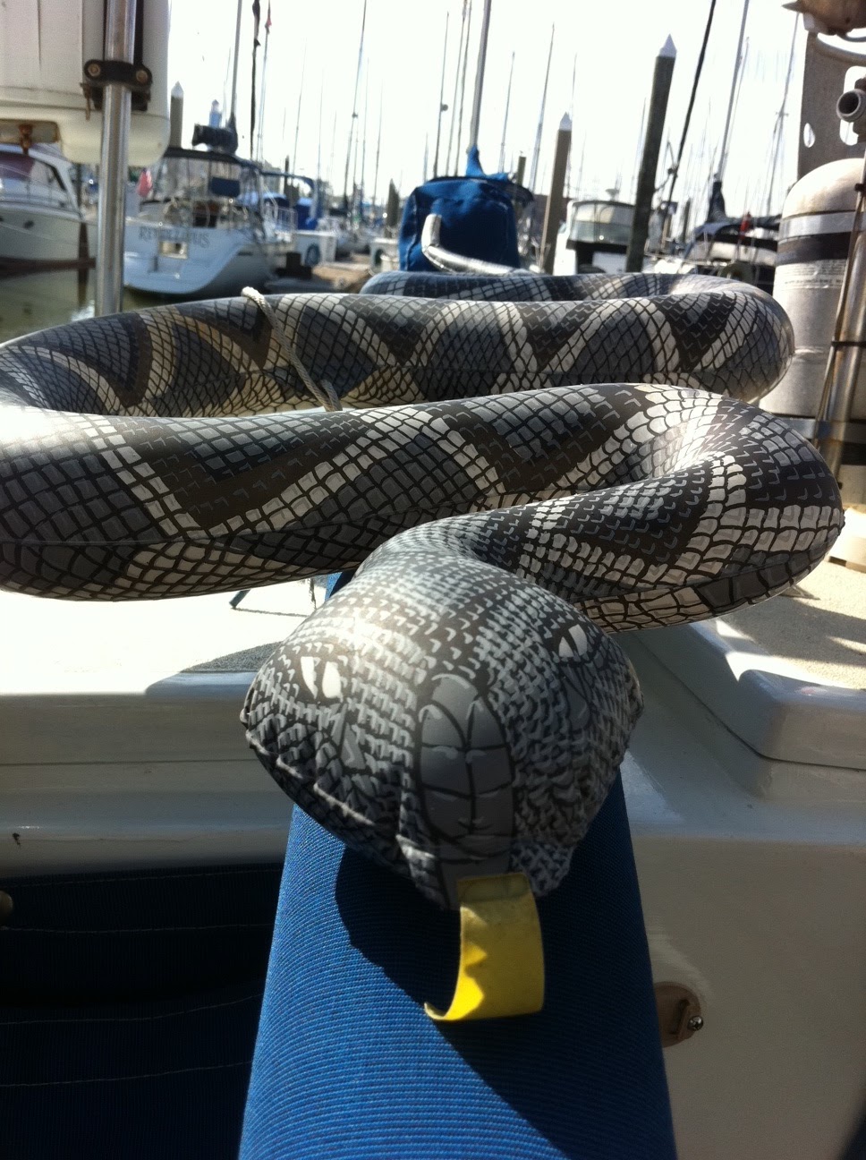 Bettie del Mar Snakes on a Boat!