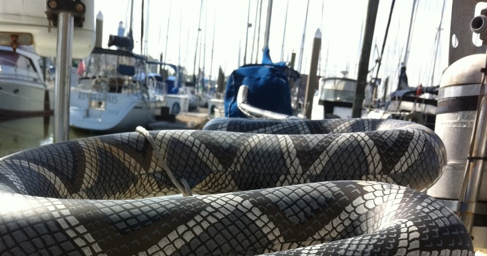 Bettie del Mar Snakes on a Boat!