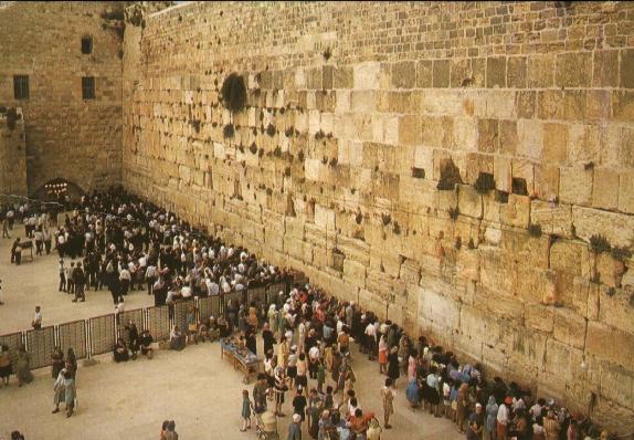 Dove Si Trova Il Muro Del Pianto Fanta5frondi 2017/2018: Il muro del pianto