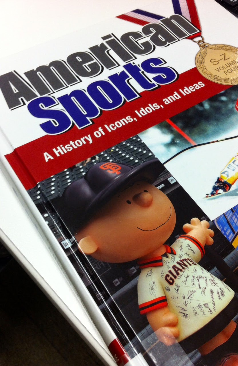 importance of sports in american culture