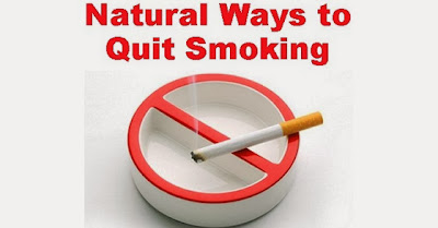 quit smoking resources for schools
