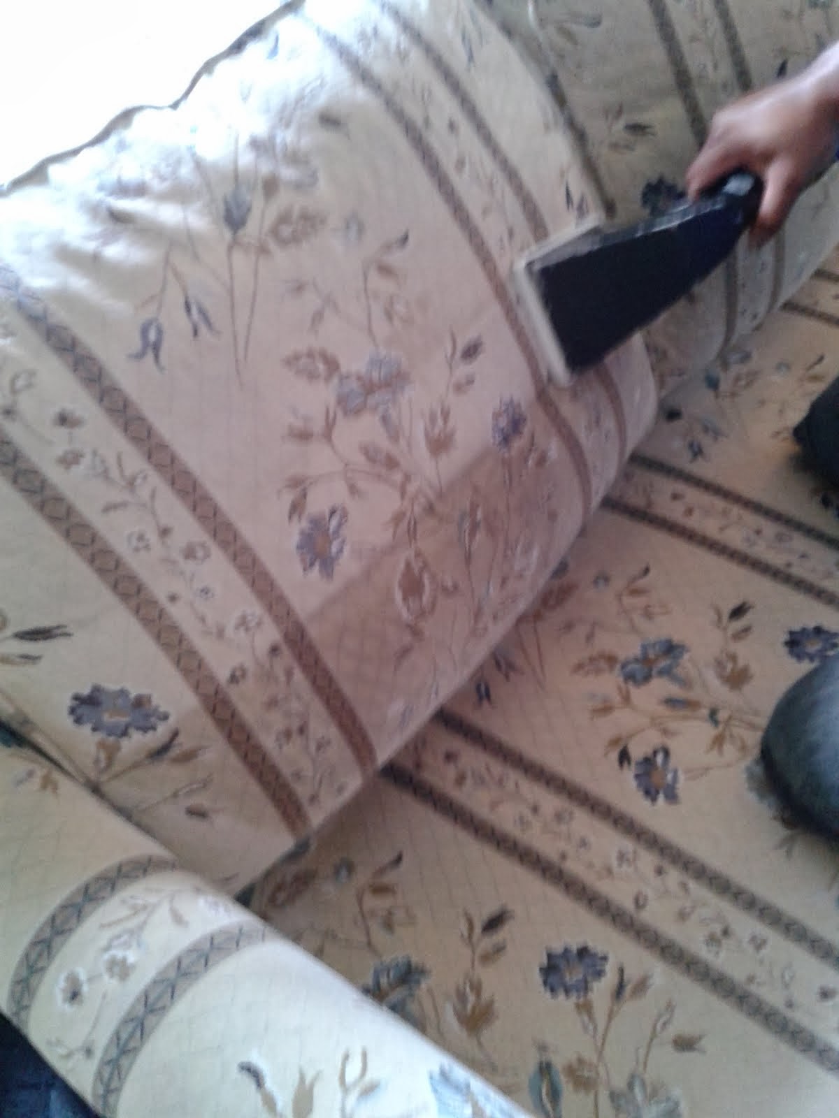 Carpet Cleaning CARPET ,UPHOLSTERY AND RUG CLEANING WALL NJ,CARPET