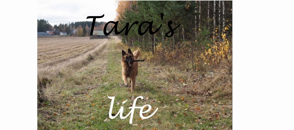 Tara's life