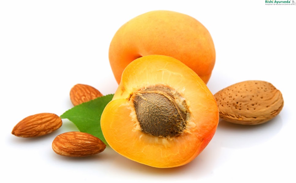 Rishi Ayurveda Hospital and Research Centre Apricot seeds health and