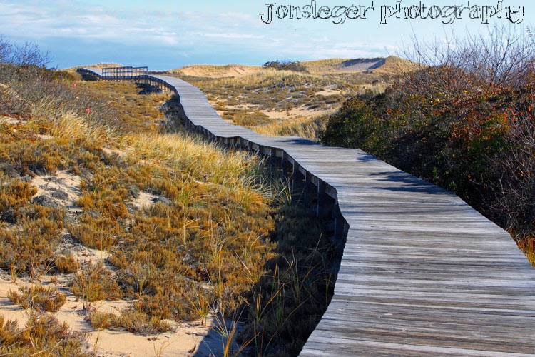 Northern Illinois Birder Scoters & Parker River Nationl Wildlife