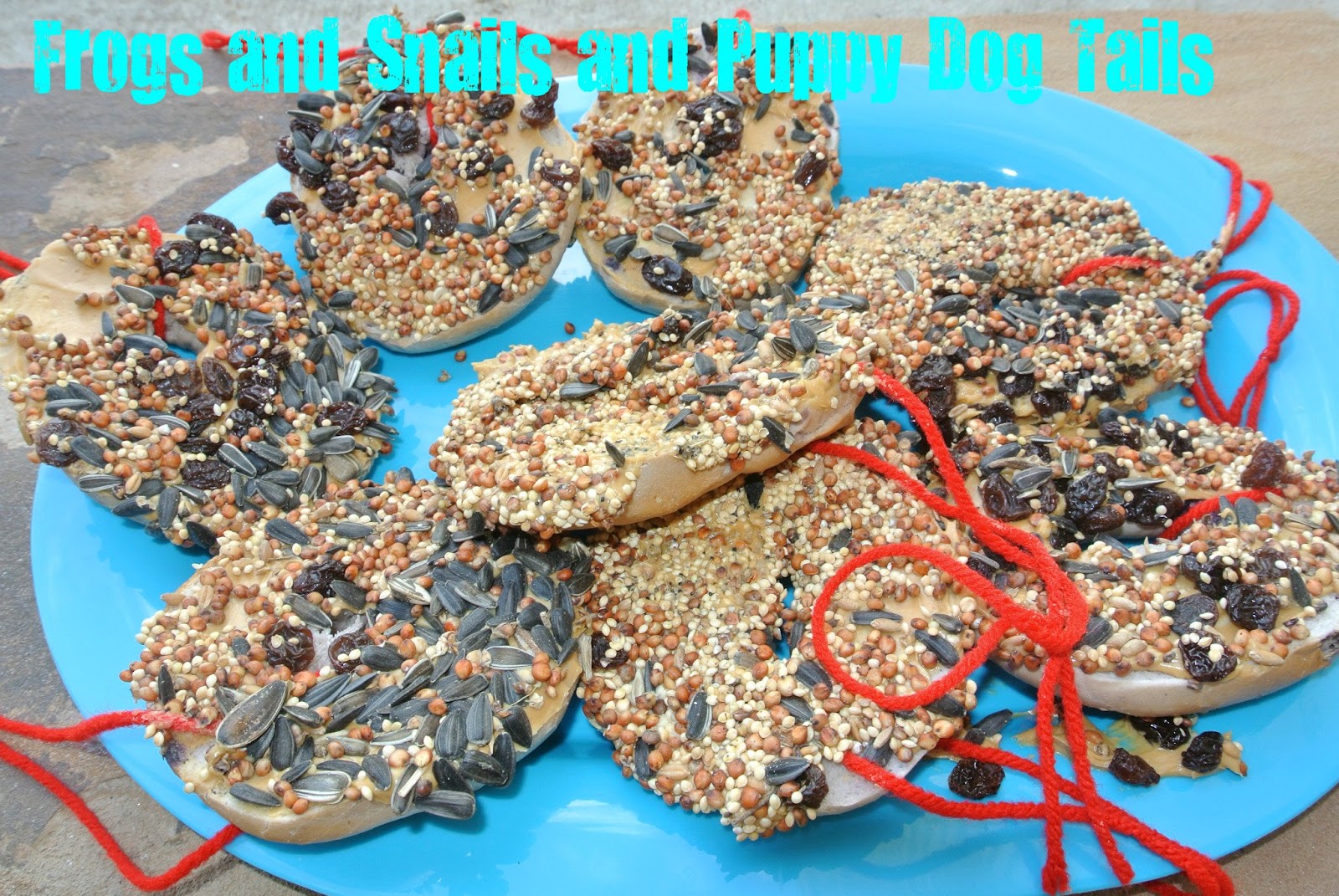 Bagel Bird Feeder