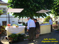 DSC07606 Mercadinho já arrancou no Jardim Municipal em Fornos de Algodres