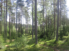 Oma valokuva
