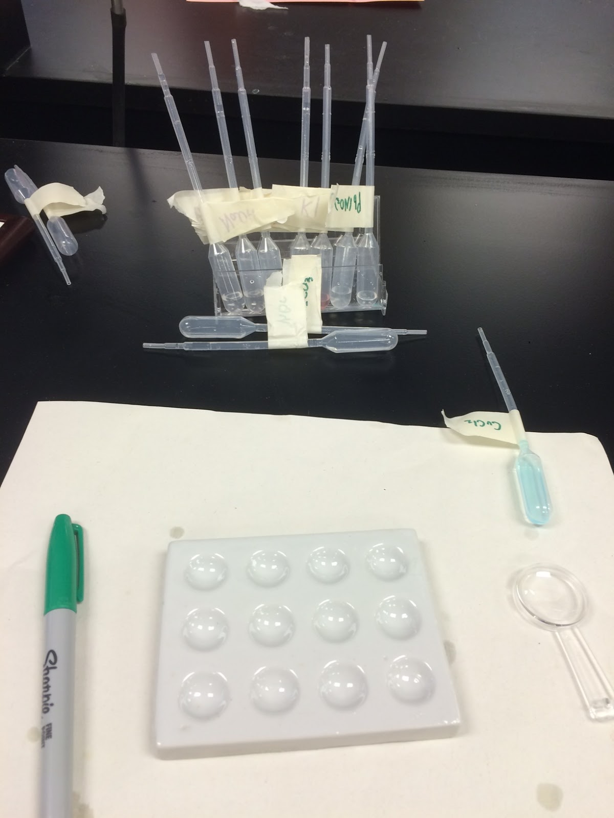 Laurie Lee Chemistry Solubility Lab!