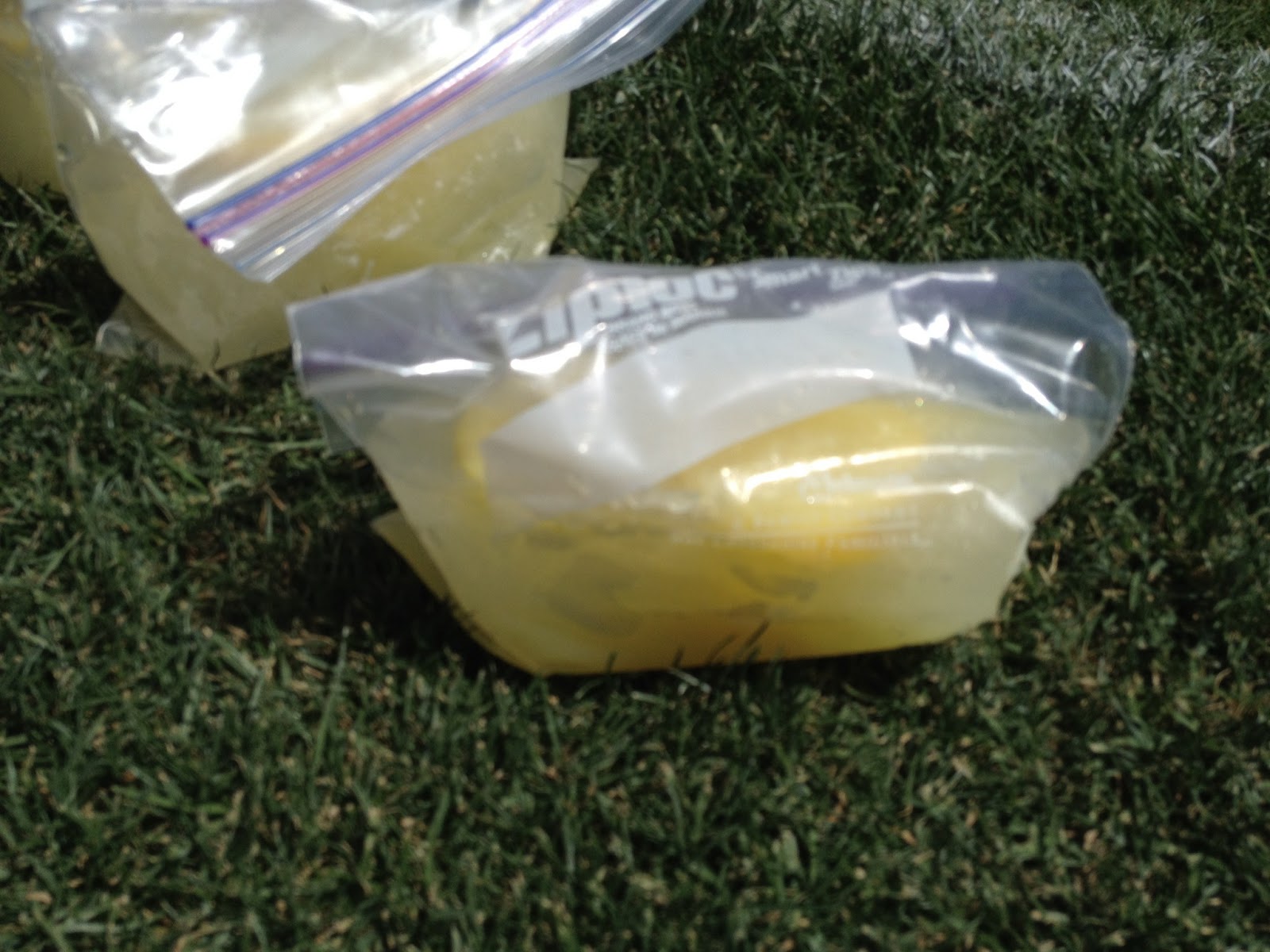 Lemonade SlushieInABag Recipe In The Kitchen With Honeyville