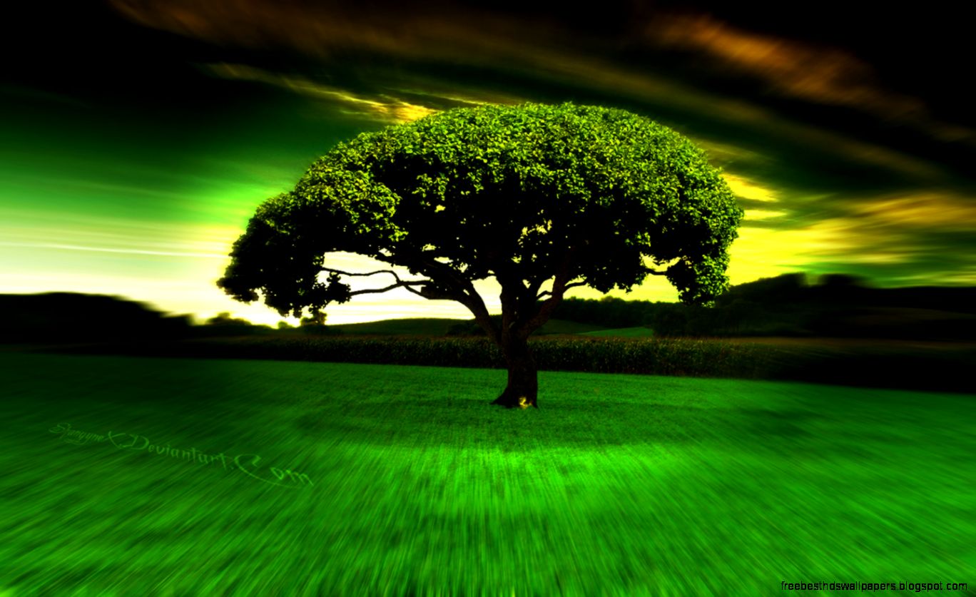 Cool Tree Backgrounds WallpaperSafari Cool Tree Backgrounds WallpaperSafari