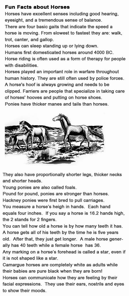 Learn about horses for kids