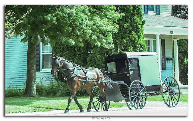 Amish Carriage