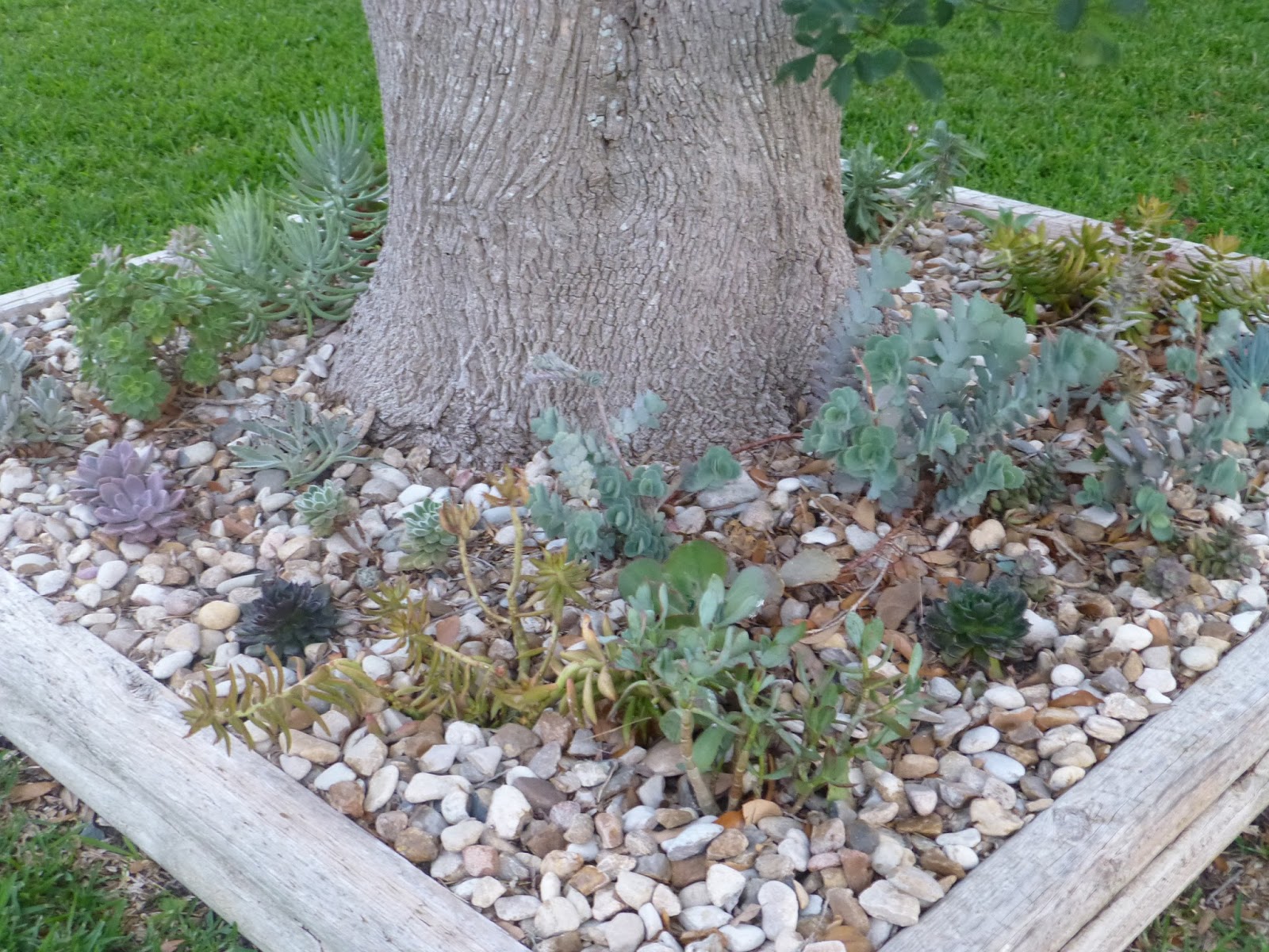 A Few of My Favorite Things