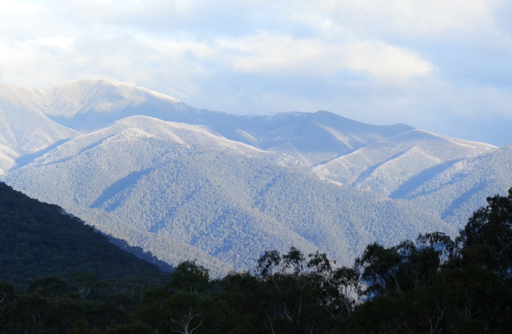 Red's Australia! Australia's Scenic Public Toilets 25 Mt Hotham