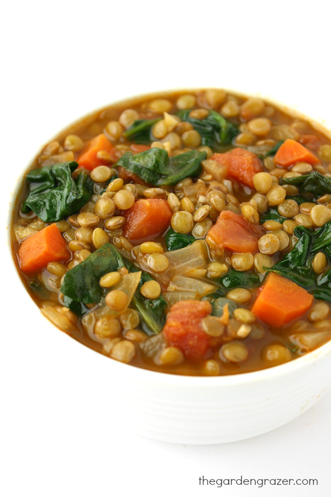 The Garden Grazer: Lentil Spinach Soup