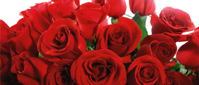 Admired by nature artificial wisteria hanging flowers bush, lavender Why Do We Celebrate Valentines Day? | All The Best Hampers Blog