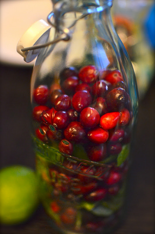 Fancy Napkin .cranberry lime vodka.