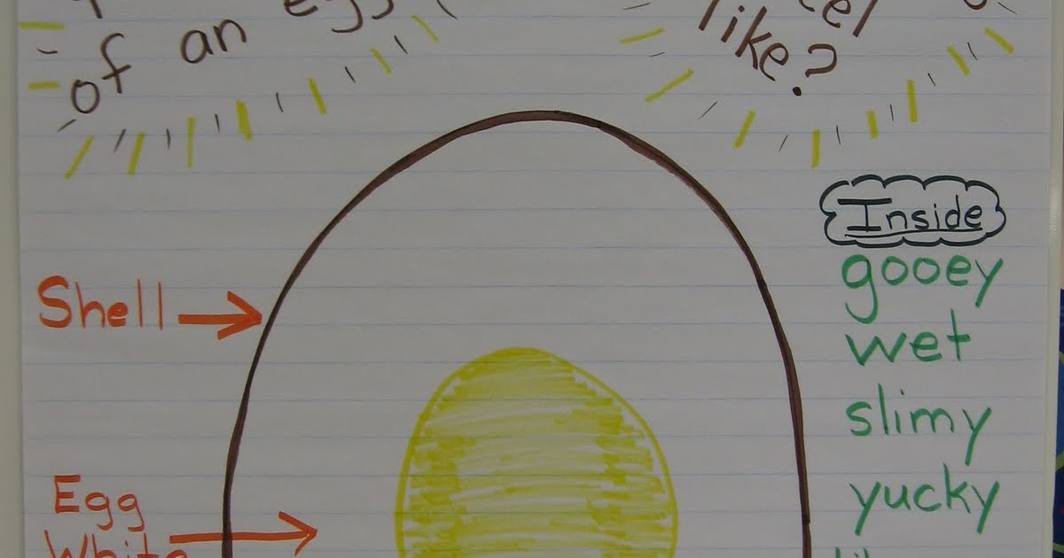 Learn + Play = Pre K: What's inside an egg?