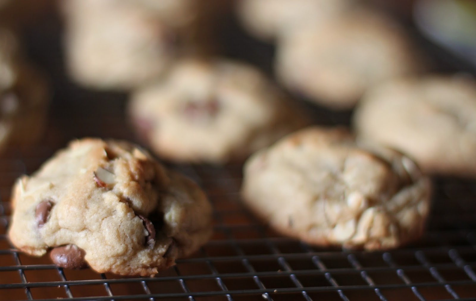 Milk Chocolate Chip Toasted Almond Cookies Visions of Sugar Plum