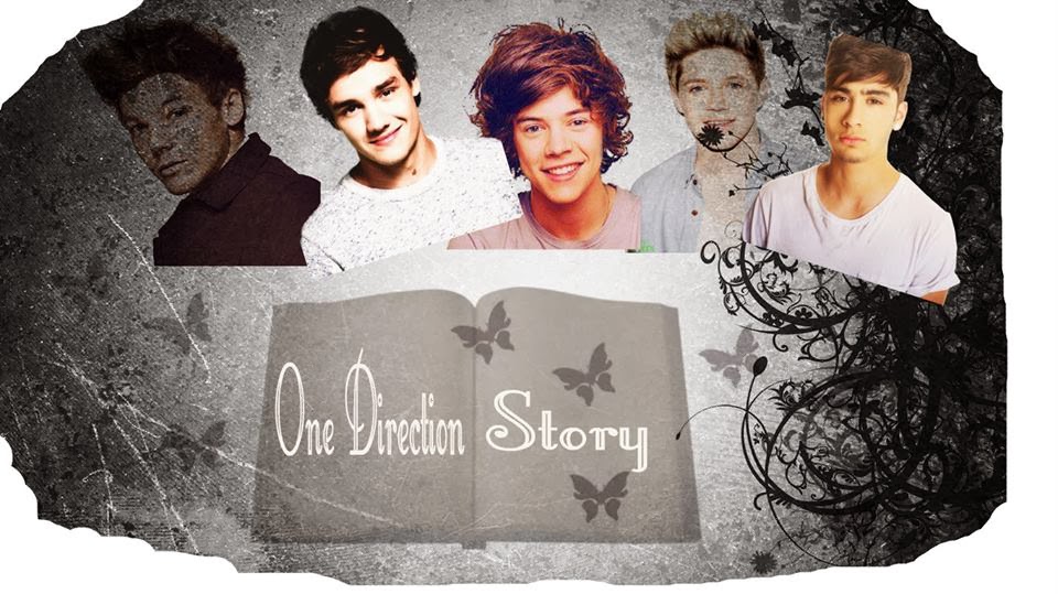 One Direction Story