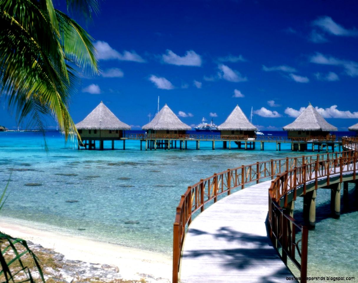 Tropical Desktop Wallpaper Free WallpaperSafari Tropical Desktop Wallpaper Free WallpaperSafari