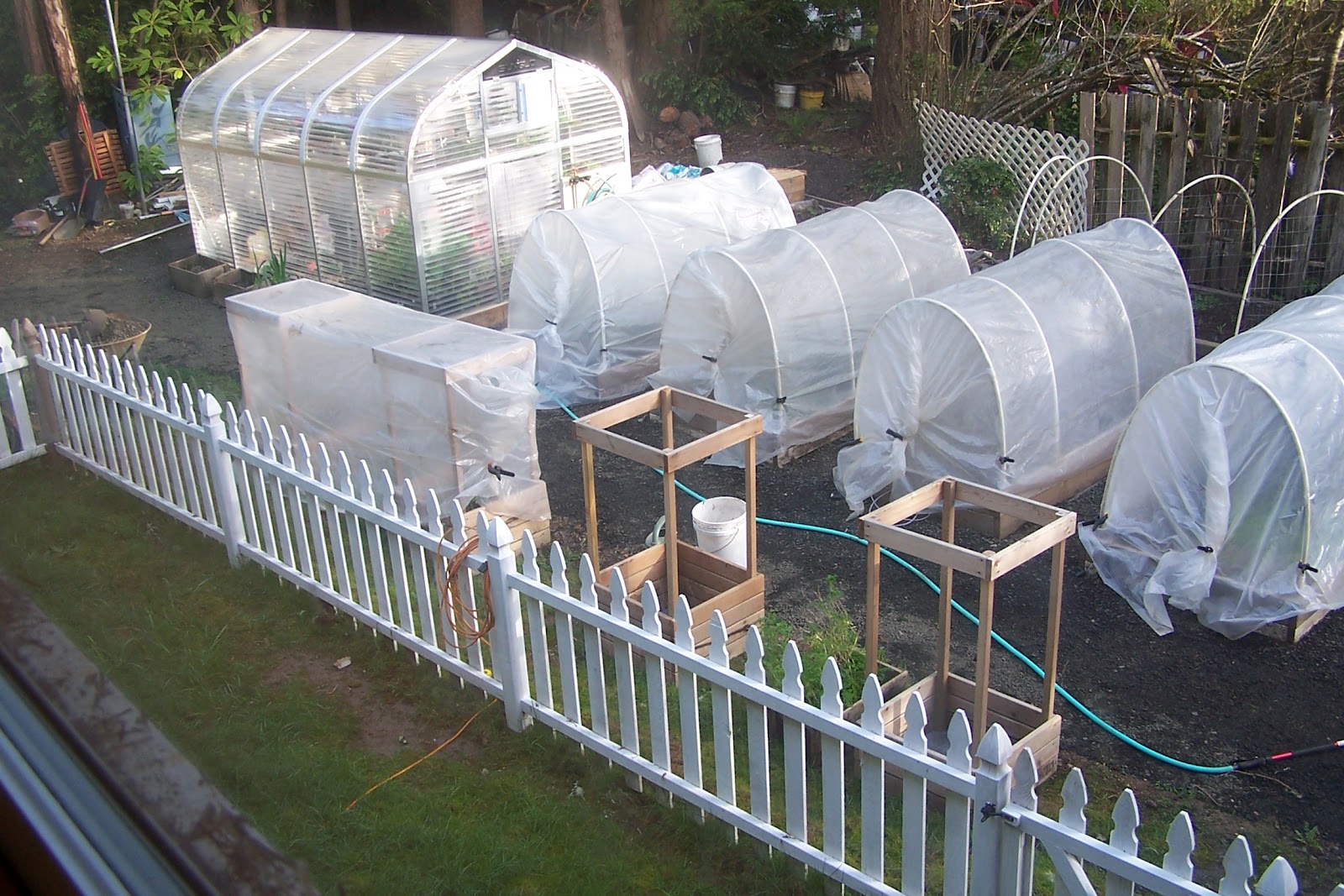At Home On Paradise Cove Kitchen Gardening In Containers