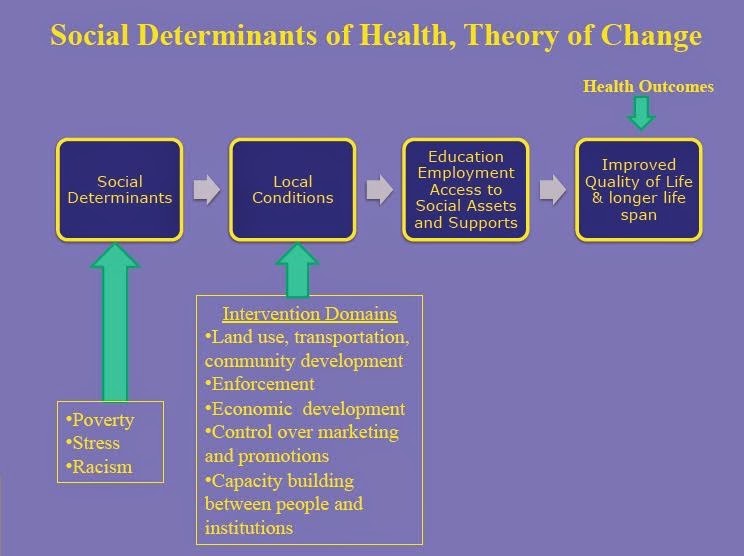 Social Determinant Of Change Case Study