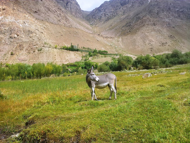 Памир Pamir
