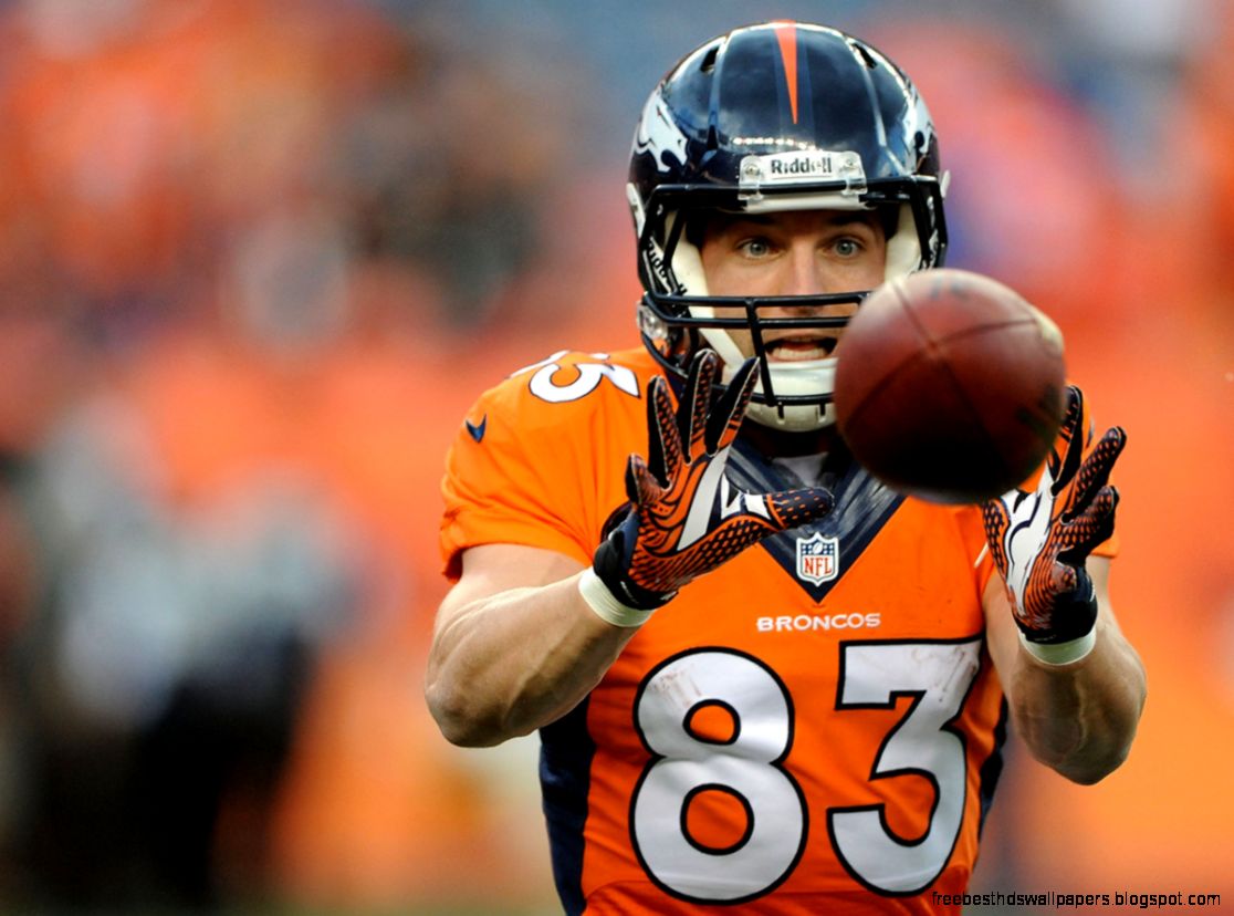 Wes Welker A Decision Miscalculation For Bill Belichick   Business Wes Welker A Decision Miscalculation For Bill Belichick   Business