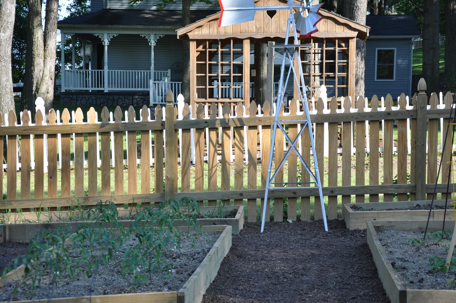 Comfy Cozy: My Soon to be White Picket Fence Garden