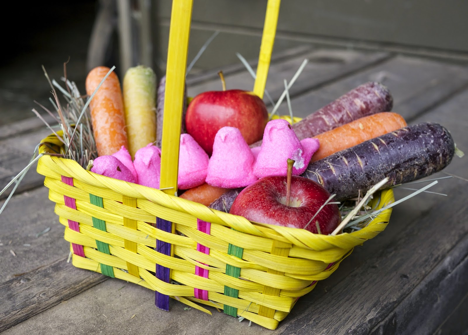 Easter Shenanigans DIY Horse Ownership