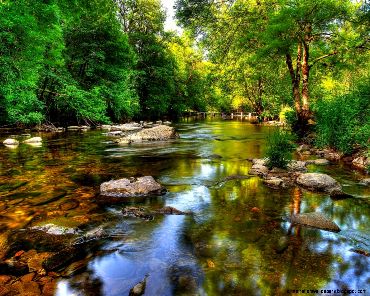 1280x1024 Clear River Forest Rocks desktop PC and Mac wallpaper 1280x1024 Clear River Forest Rocks desktop PC and Mac wallpaper