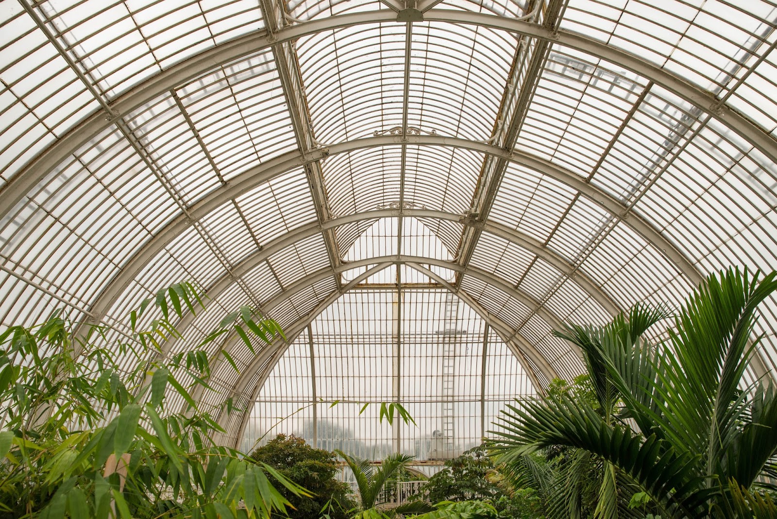 The Tree Museum The Salty Sea Blog