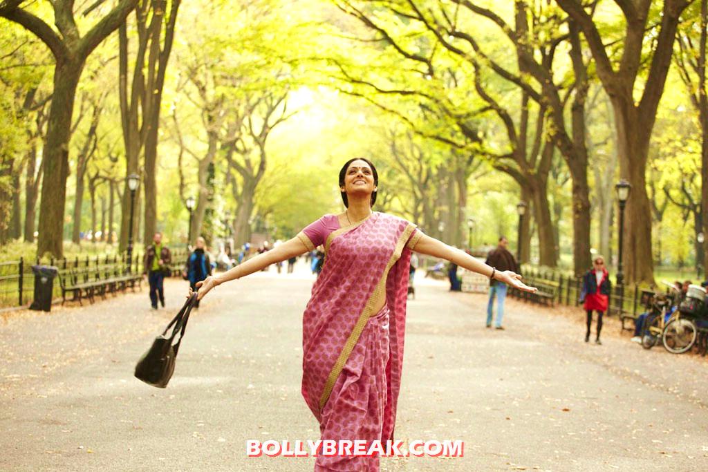 actress name of english vinglish sridevi english vinglish movie stills 5 pics actress name of english vinglish sridevi english vinglish movie stills 5 pics