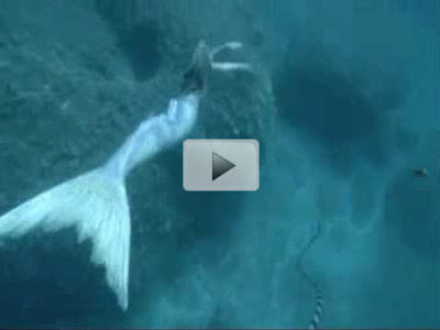 Animal Planet: Body Found (Mermaid)