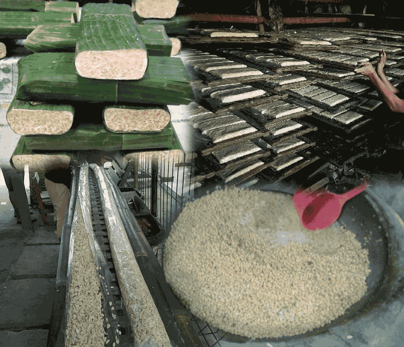 Cara Membuat Tempe Dengan Alat Modern