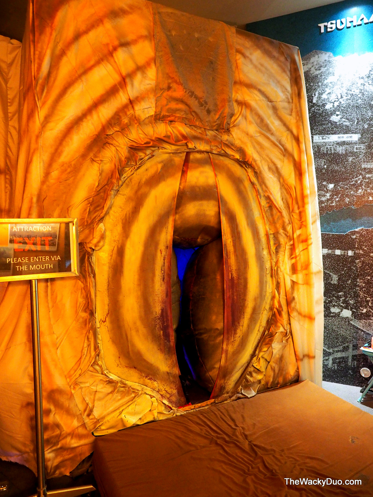 Human Body Experience Science Centre The Wacky Duo Singapore