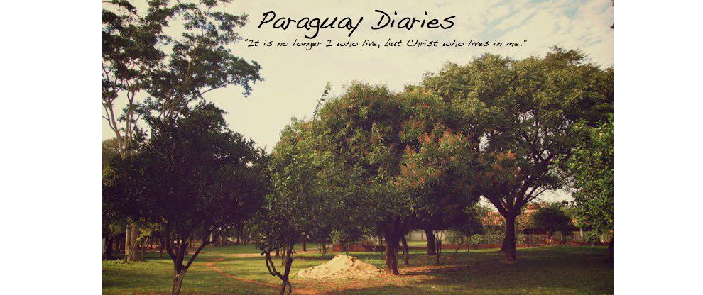 Paraguay Diaries