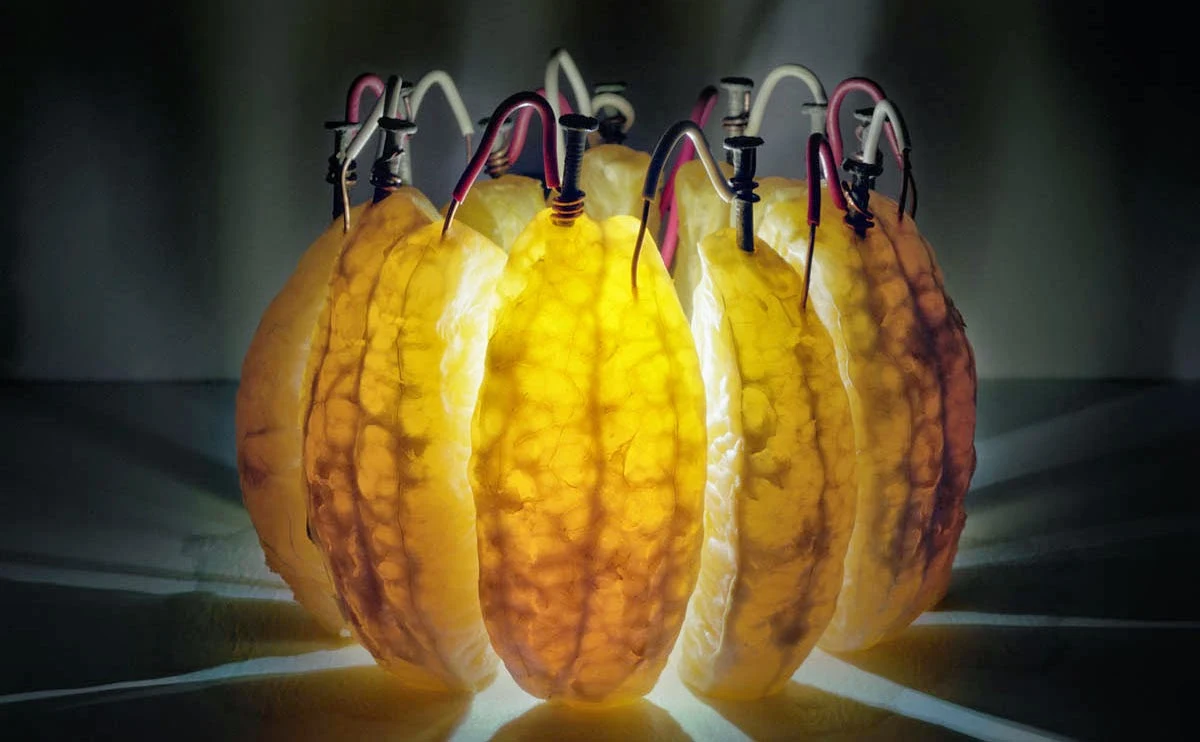 Fruit Batteries to Power up LED Light