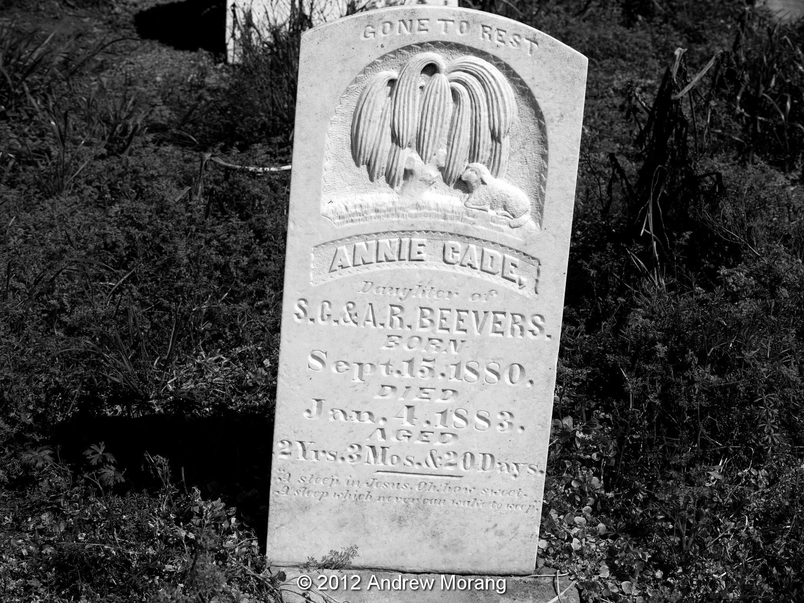 Urban Decay The Mississippi Delta 7 Boyle