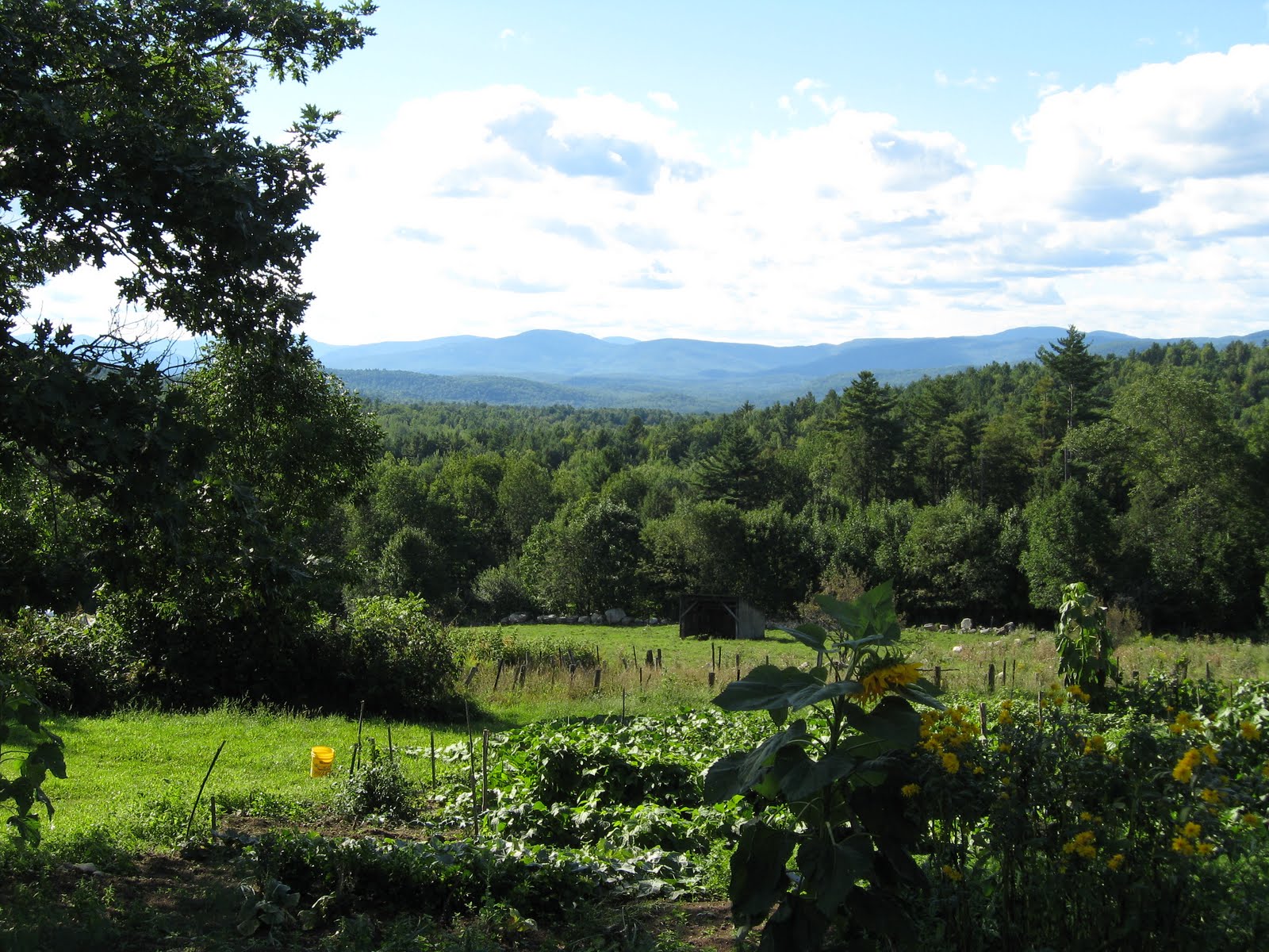 North Country Chronicles