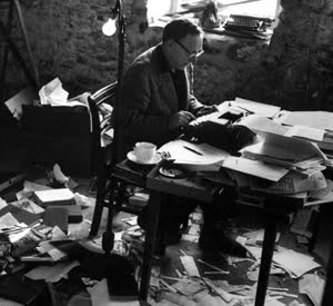 Evening hawk by robert penn warren ap essay picture