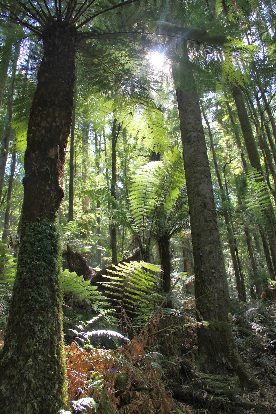 Kann Die Moderne Physik Die Esoterik Belegen Holm Hummler