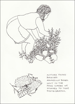 ink drawing of a young woman looking for armadillo bones