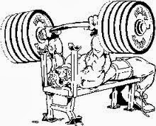 Bench A Powerful Bench Press Routine For a Bigger Bench