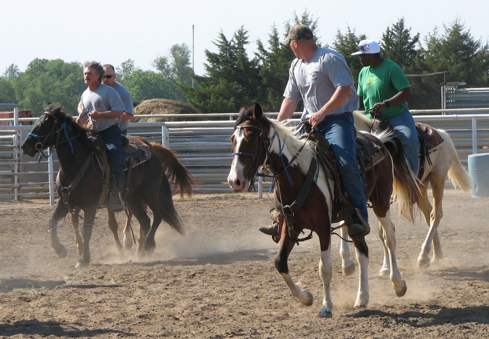 Mustang Dreams.... Wild Horse Program at the Hutchinson, KS